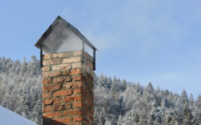 Najlepsze środki do wypalania sadzy – Ranking 2026